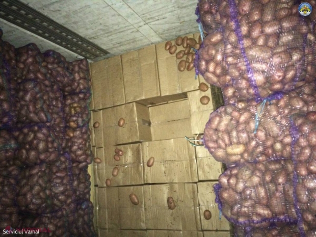 TONE de miez de nucă, aduse ILEGAL din Ucraina