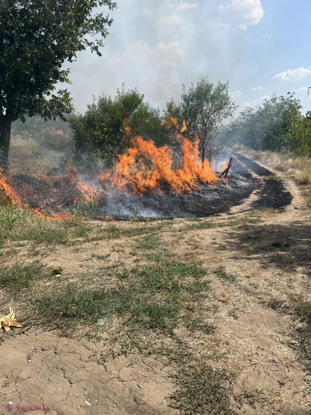FOTO // Incendiu de proporții la Stăuceni, suburbie a municipiului Chișinău. Primarul localității cheamă cetățenii să se implice la stingerea incendiului. „Focul se îndreaptă spre un cartier locativ”