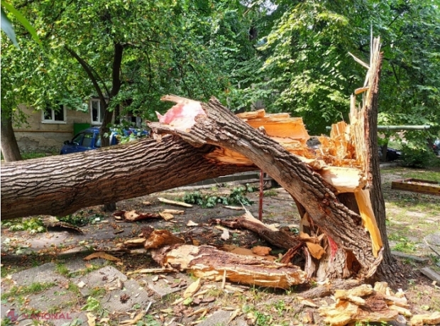 Ploile de pe 9 august au provocat PAGUBE de circa 17 MILIOANE de lei în Chișinău