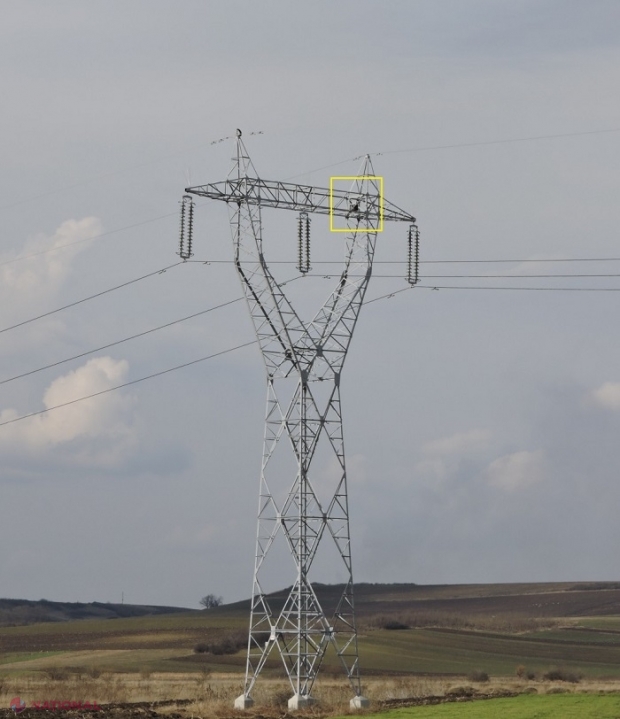 R. Moldova preia experiența României: Sute de CUIBURI pentru păsări, instalate pe stâlpii Liniei Electrice Aeriene 400 kV Vulcănești – Chișinău