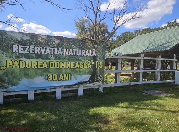 Știați că... R. Moldova are 63 de rezervații naturale: Care sunt cele mai cunoscute și ce rol au acestea