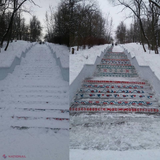 O scară dintr-un parc din Chișinău a fost CURĂȚATĂ de voluntari