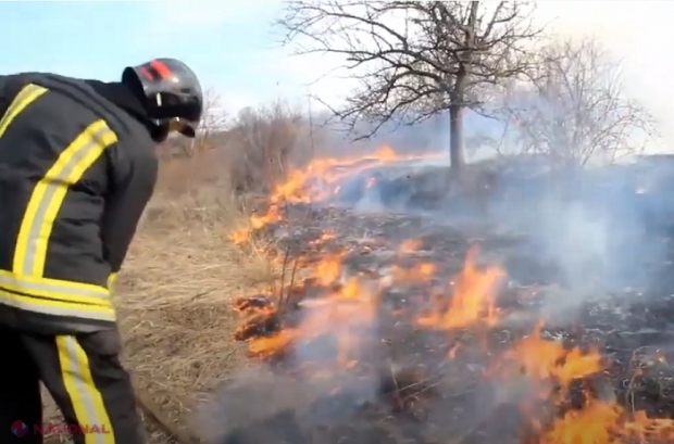 VIDEO // Mesaj EMOȚIONANT al pompierilor din R. Moldova, de Ziua Mondială a Mediului: „Oameni buni, nu dați foc la vegetație, mor păsările, mor iepurașii...”