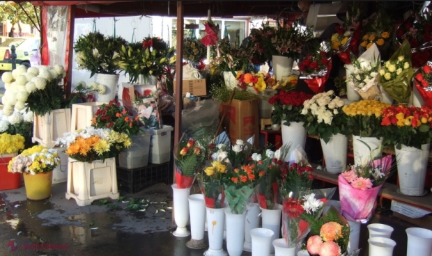 Luați la ochi de FISC, florarii și proprietarii de restaurante din R. Moldova au vărsat de TREI ORI mai multe impozite în bugetul de stat