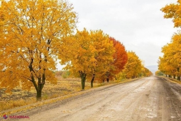 Cod galben de ÎNGHEȚURI în R. Moldova, emis de meteorologi: Temperaturi cu MINUS în următoarele zile