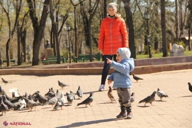 METEO // Vine PRIMĂVARA la sfârșit de februarie. Temperaturi de până la plus 16 grade Celsius