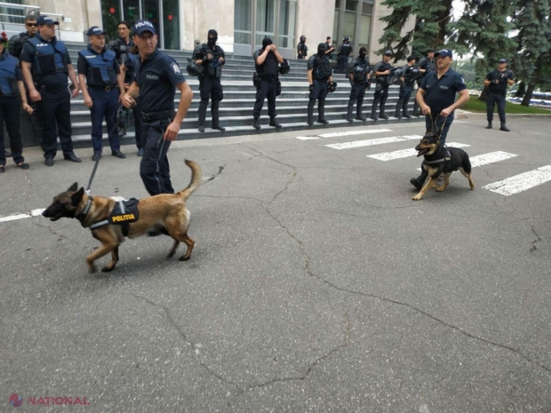 FOTO // Intrarea în clădirea GUVERNULUI a fost BLOCATĂ. Zeci de polițiști se află la fața locului. Alertă cu BOMBĂ