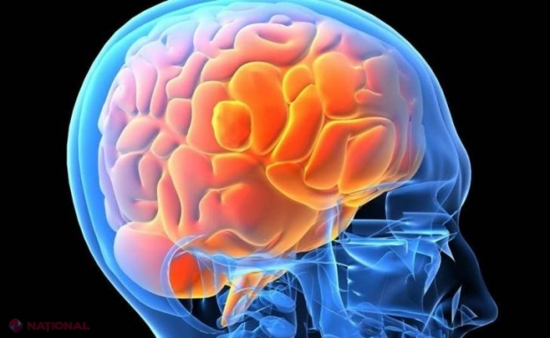 DESCOPERIRE surprinzătoare: „Vor trebui să MODIFICE manualele de anatomie”