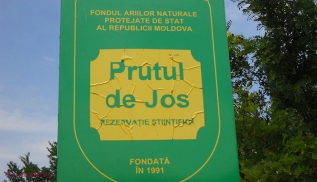 DOC // Un fost director de Rezervație Naturală din R. Moldova riscă să nu mai ocupe funcții publice pentru că și-a majorat din proprie inițiativă salariul cu 150%