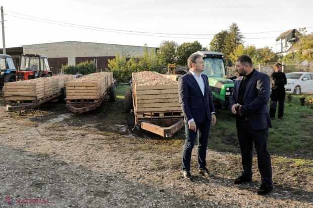 A muncit mai mulți ani în serviciu public, iar acum dezvoltă o afacere de familie la Scăieni, Dondușeni. Cum trebuie să arate o LIVADĂ, pentru ca să ai productivitate înaltă, dar și fructe de calitate