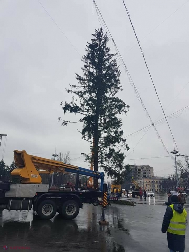 Sărbătorile de iarnă, în Chișinău: „Nu o să umblăm cu doi brazi. O să fie bine”