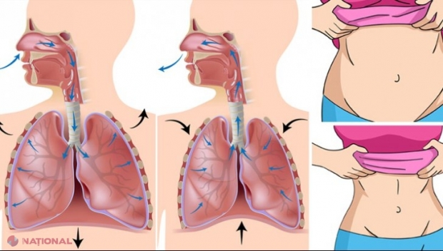 VIDEO // Tehnica JAPONEZĂ care îţi scade grăsimea de pe burtă