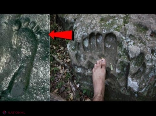 Amprentă umană fosilizată descoperită într-o piatră veche de 290 de milioane de ani. Este posibil ca istoria pe care o cunoaștem sa fie greșită?