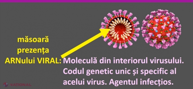 VIDEO // Testarea pentru COVID - 19 este ESENȚIALĂ pentru ca guvernele să poată avea o imagine reală a răspândirii noului coronavirus. Un fost MINISTRU explică ce teste diagnostice există și care sunt cele mai PRECISE