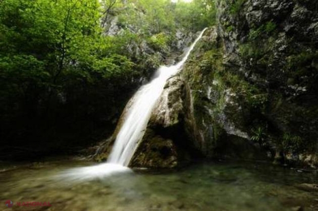 Avertismentul cercetătorilor care ÎNSPĂIMÂNTĂ întreaga omenire