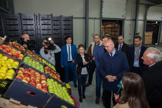 Merele moldovenești ajung pe masa consumatorilor din Arabia Saudită. Primul lot de mere păstrate la Sângerei va fi exportat săptămâna viitoare