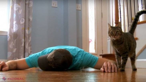 VIDEO // Stăpânul s-a prăbușit „mort” în fața pisicii. Cum a procedat felina 