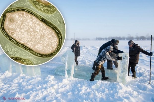 O nouă amenințare pandemică: Virușii „zombi” din Siberia ar putea declanșa o criză sanitară de proporții