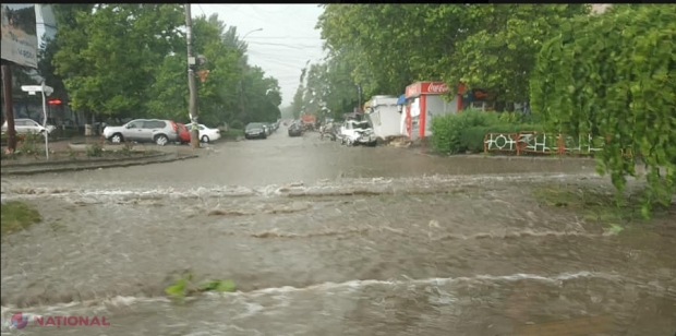 PREJUDICII după PLOI: Blocuri inundate, drumuri și acoperișuri distruse, mașini înghițite de ape, dar și copaci doborâți