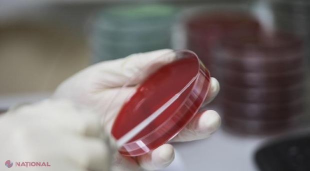 Încă cinci persone infectate cu coronavirus în România: Bilanțul ajunge la 64. România închide mai multe puncte de frontieră, pe toate granițele