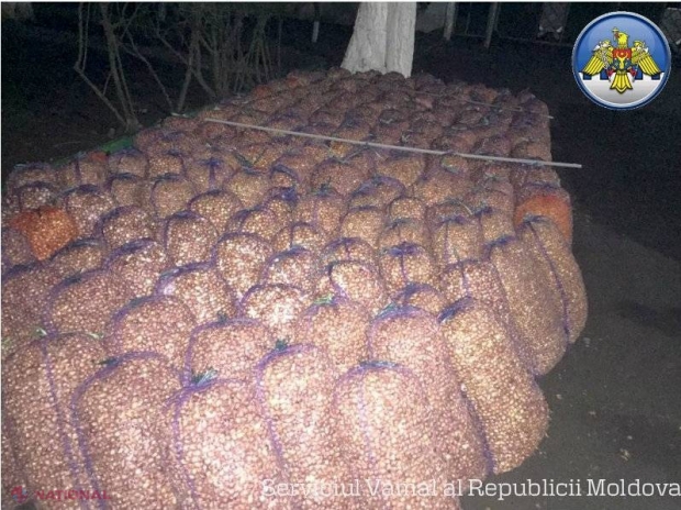 Prinși cu „arpagicul” în sac. Doi bărbați RISCĂ până la 10 ani de închisoare pentru marfă transportată ILEGAL