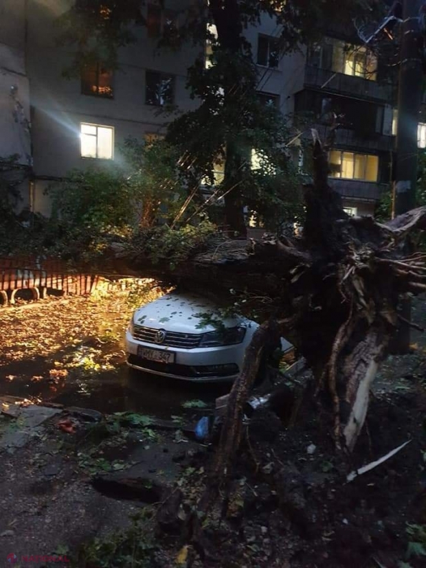 GALERIE FOTO // PLOAIE în Chișinău: Copaci scoşi din rădăcini și căzuți inclusiv pe mașini, străzi spălate de ape, acoperișuri luate de vânt sau cabluri doborâte la pământ