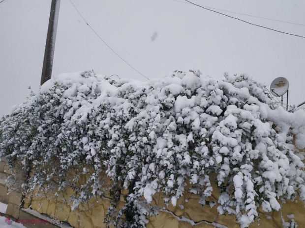 METEO // După ninsoarea abundentă vin ploile în R. Moldova: Ce temperaturi vom avea în zilele următoare