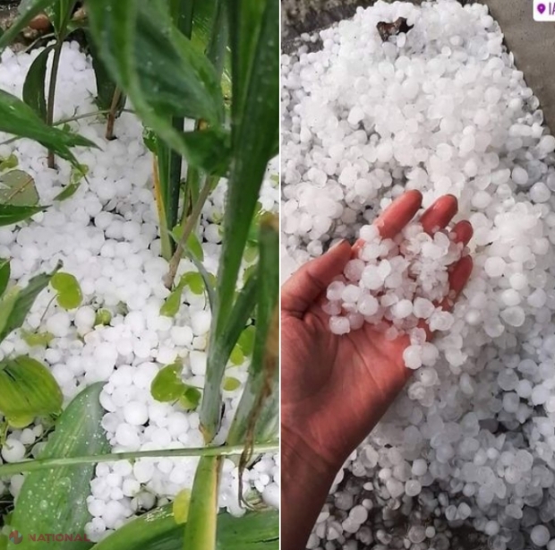 Grindina căzută marți-seară în R. Moldova a distrus sute de hectare de culturi agricole: Căușeni și Florești, cele mai afectate raioane