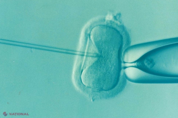 ŞOCUL suferit de o femeie, după ce a apelat la fertilizarea in vitro. Visul său de a fi mamă s-a împlinit, dar a rămas ...