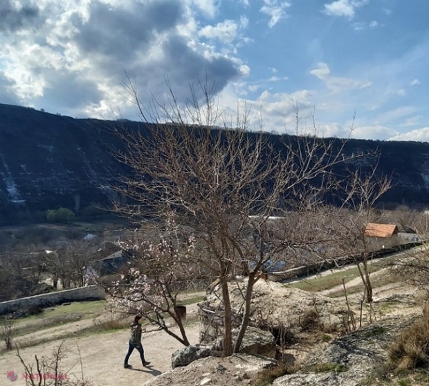 METEO // Cod galben de ÎNGHEȚURI de până la minus 6 grade Celsius în R. Moldova