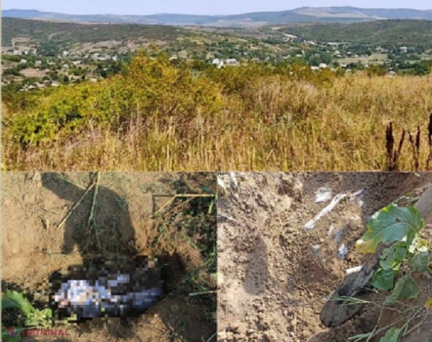 OMOR la Ungheni: O femeie a dispărut de pe 24 august, când a plecat să-și prelucreze via, iar cadavrul a fost găsit îngropat peste câteva zile. Ucigașul ar fi un tânăr care avea datorii la victimă 