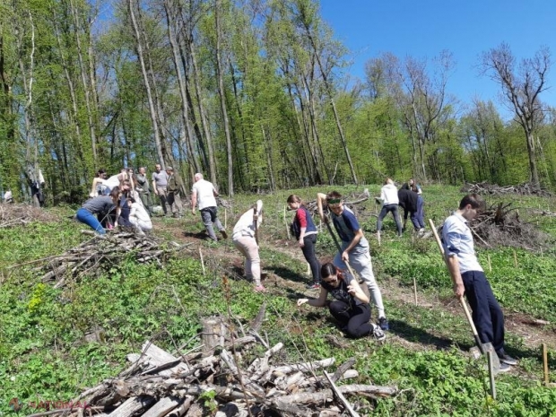 Democrații invită cetățenii la „acțiunea națională de înverzire a plaiului”