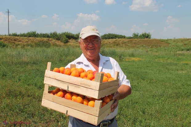 AFACERE // Hectarele cu bunătăți de la Criuleni!