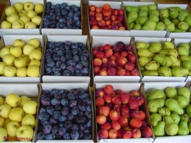 Republica Moldova vrea să exporte cereale, legume, fructe, carne și ouă în Israel