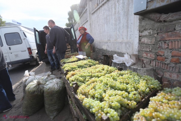 Sectorul vinicol din R. Moldova, post-embargo