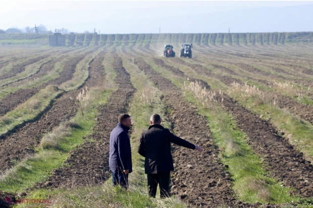 Marea ÎMPĂDURIRE din toamna curentă a demarat la Mălăiești, Orhei. „Vom planta peste 26 de milioane de puieți pe o suprafață de peste 4 000 de hectare”