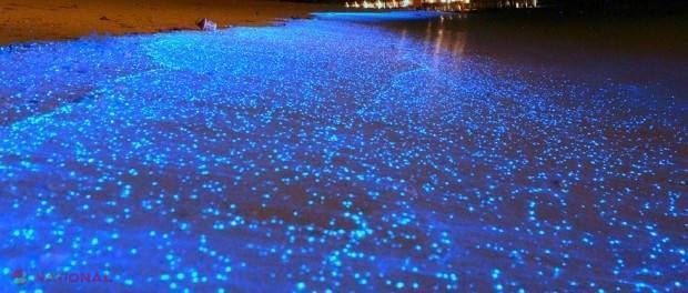 FOTO // Cele mai SPECTACULOASE plaje din lume