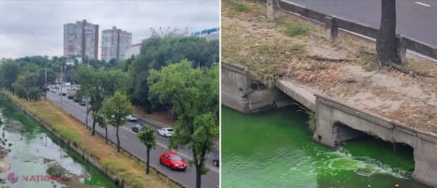 VIDEO, FOTO // Râul Bâc, colorat în VERDE. Locuitorii municipiului Chișinău, ALARMAȚI de substanța vărsată în principalul râu al capitalei. O fostă ministră a Mediului explică despre ce e vorba
