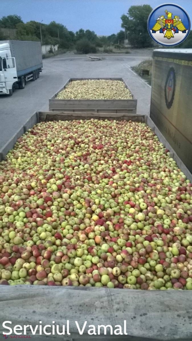 ZECI de tone de mere transportate ILEGAL din Transnistria pe malul drept al Nistrului