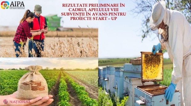 Statul va oferi subvenții în avans pentru dezvoltarea proiectelor start-up în sectorul agricol pentru 42 de antreprenori debutanți: Mai mult de jumătate sunt afaceri în domeniul APICOL 