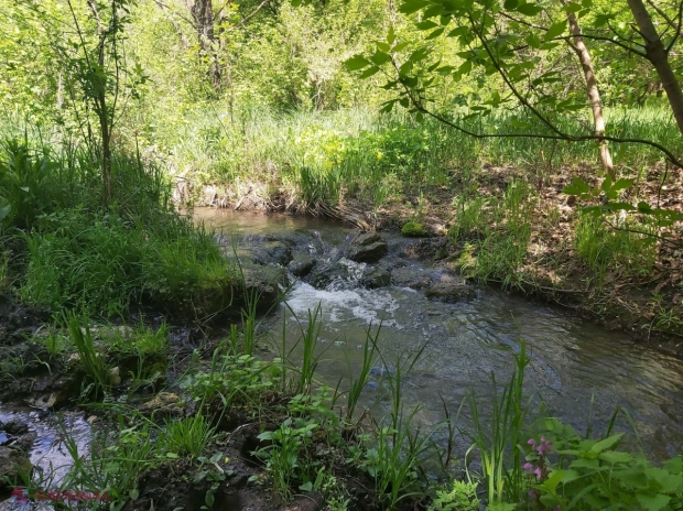 METEO // De la plus 17 până la plus 30 de grade Celsius: Cum va fi vremea până la sfârșitul săptămânii