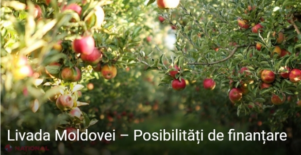 BEI va finanța proiectul „Livada Moldovei” până în luna mai 2023: Aproape 60 de milioane de euro în următorii doi ani pentru dezvoltarea sectorului horticol și vitivinicol din R. Moldova