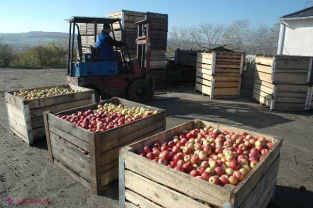 Grant de circa TREI MILIOANE de dolari de la suedezi pentru modernizarea agriculturii