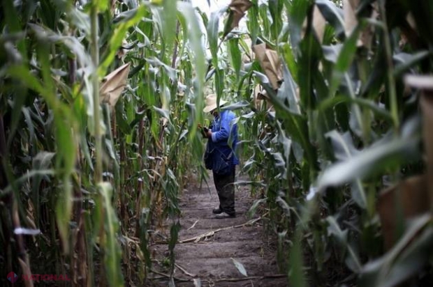  A muncit în străinătate și s-a întors să investească acasă, dar speranțele i se năruiesc 