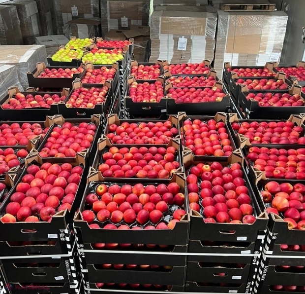 GALERIE FOTO // Primele mere „made in Moldova” au ajuns în Israel: 20 de tone pe rafturile magazinelor din acest stat