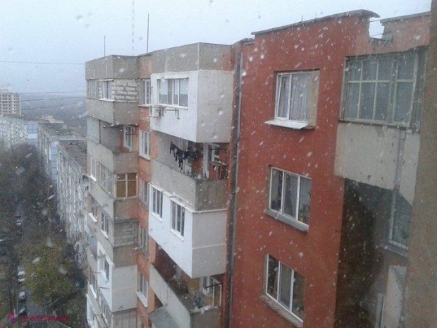 Ninge! A venit iarna și la Chișinău!
