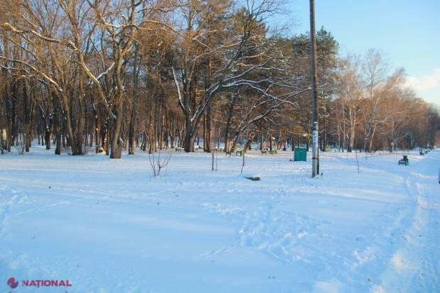 Terenul din Parcul „Valea Trandafirilor”, REÎNTORS în gestiunea Primăriei Chişinău