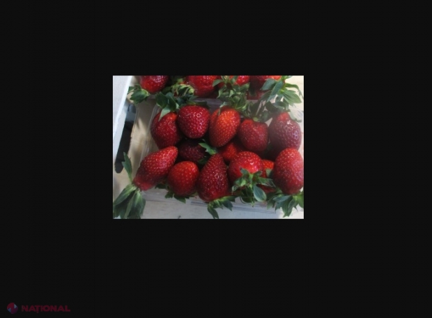 Aproape 18 tone de căpșune din Republica Moldova au fost INTERZISE în Rusia