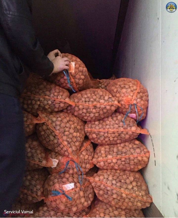 Afaceri ILEGALE tentante: Tone de nuci, DESCOPERITE într-un autocamion