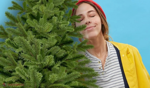 De ce să miroși bradul de Crăciun înainte să-l cumperi. Detaliul la care trebuie să fii atent